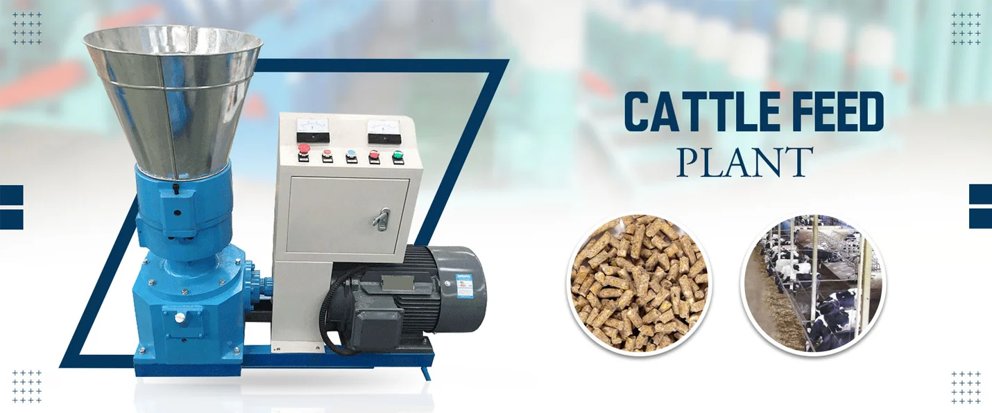 Cattle Feed Plant Manufacturers